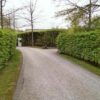 Hainbuche Carpinus Betulus Laubabwerfende Teilimmergrüne gehölze Hecke Heckenpflanzen